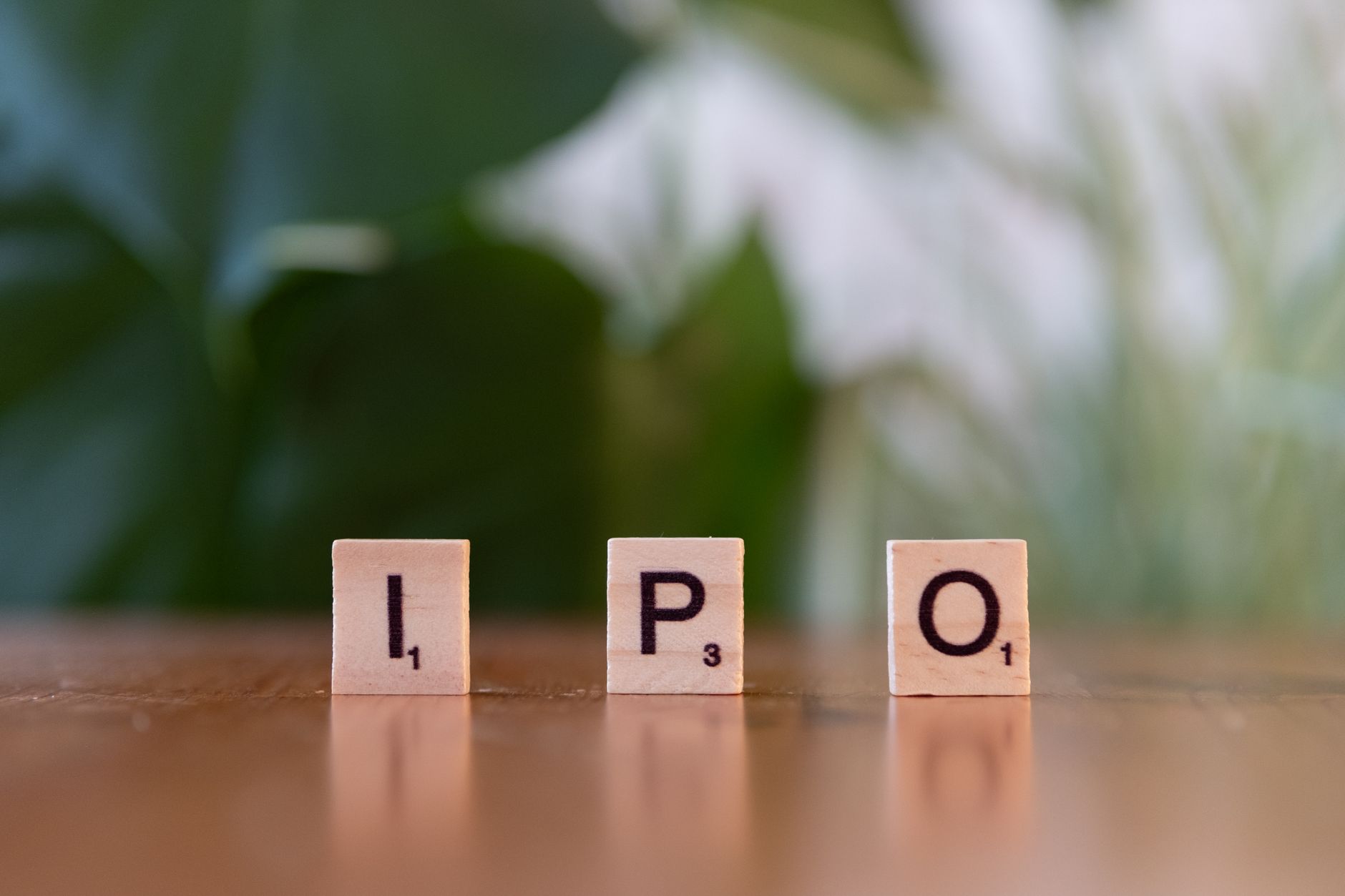 Sonaselection India IPO allotment