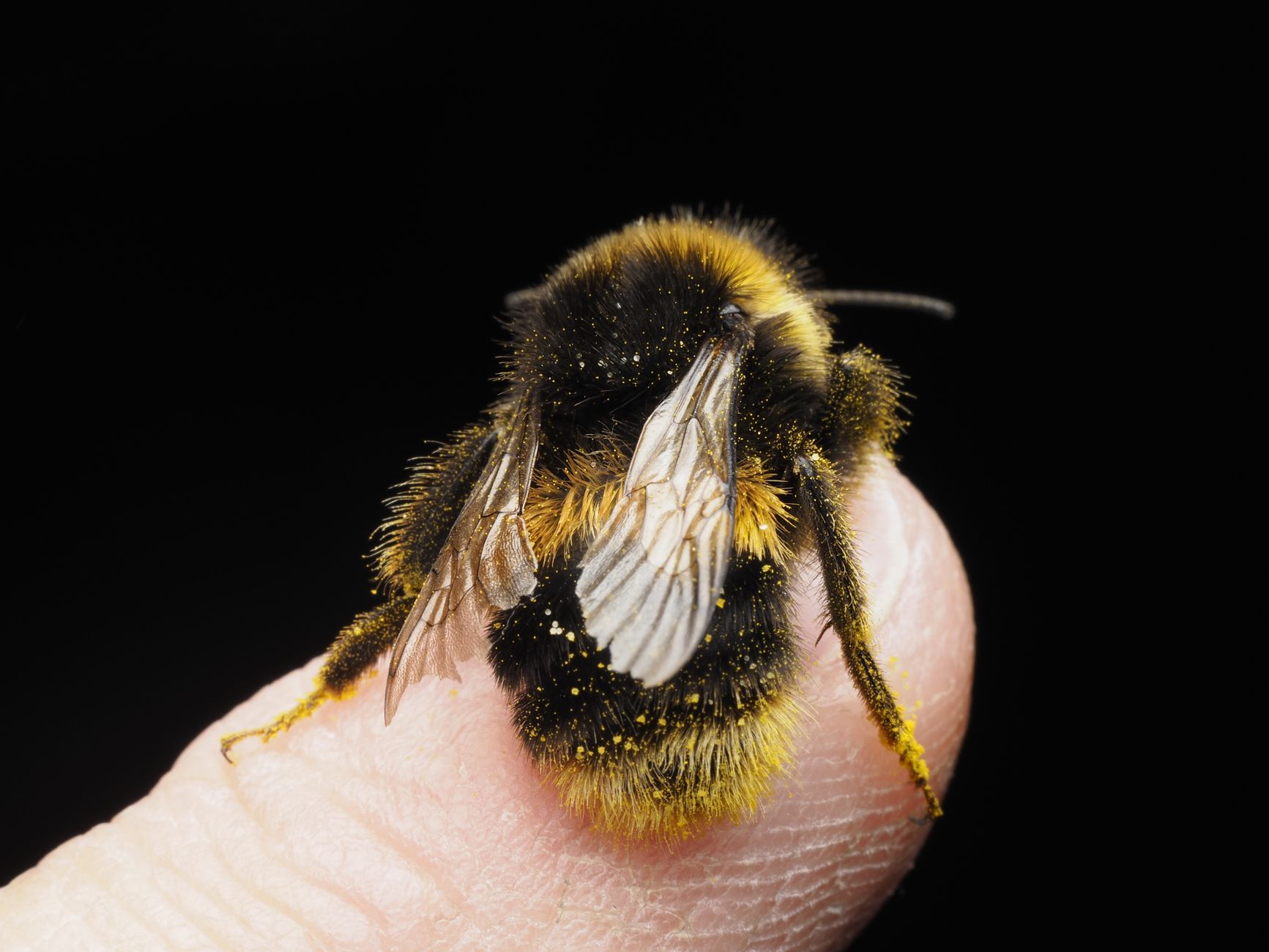 Bumble shares soar