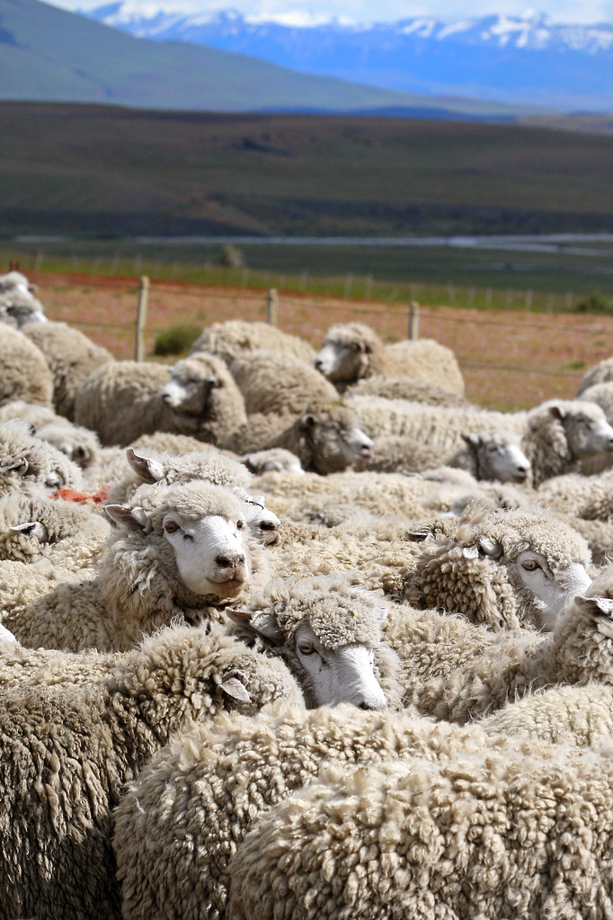 China export restrictions