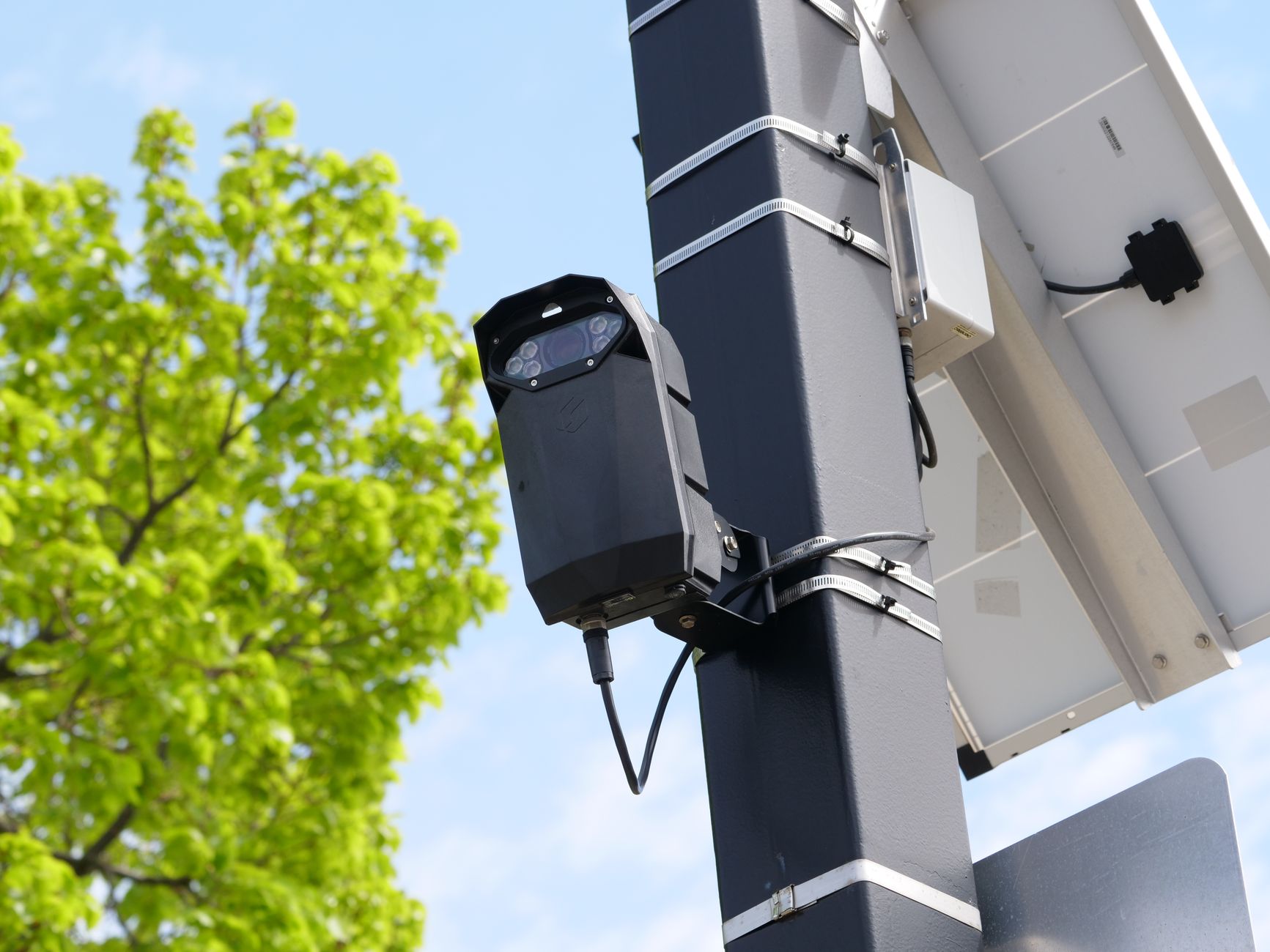 Flock surveillance cameras
