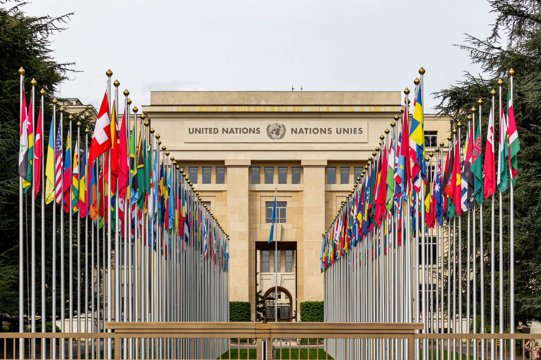 India UN body tweets